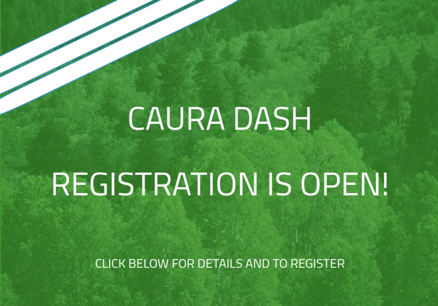 CAURA DASH 9